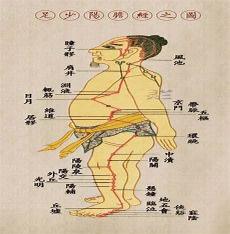 足少阳胆经原文